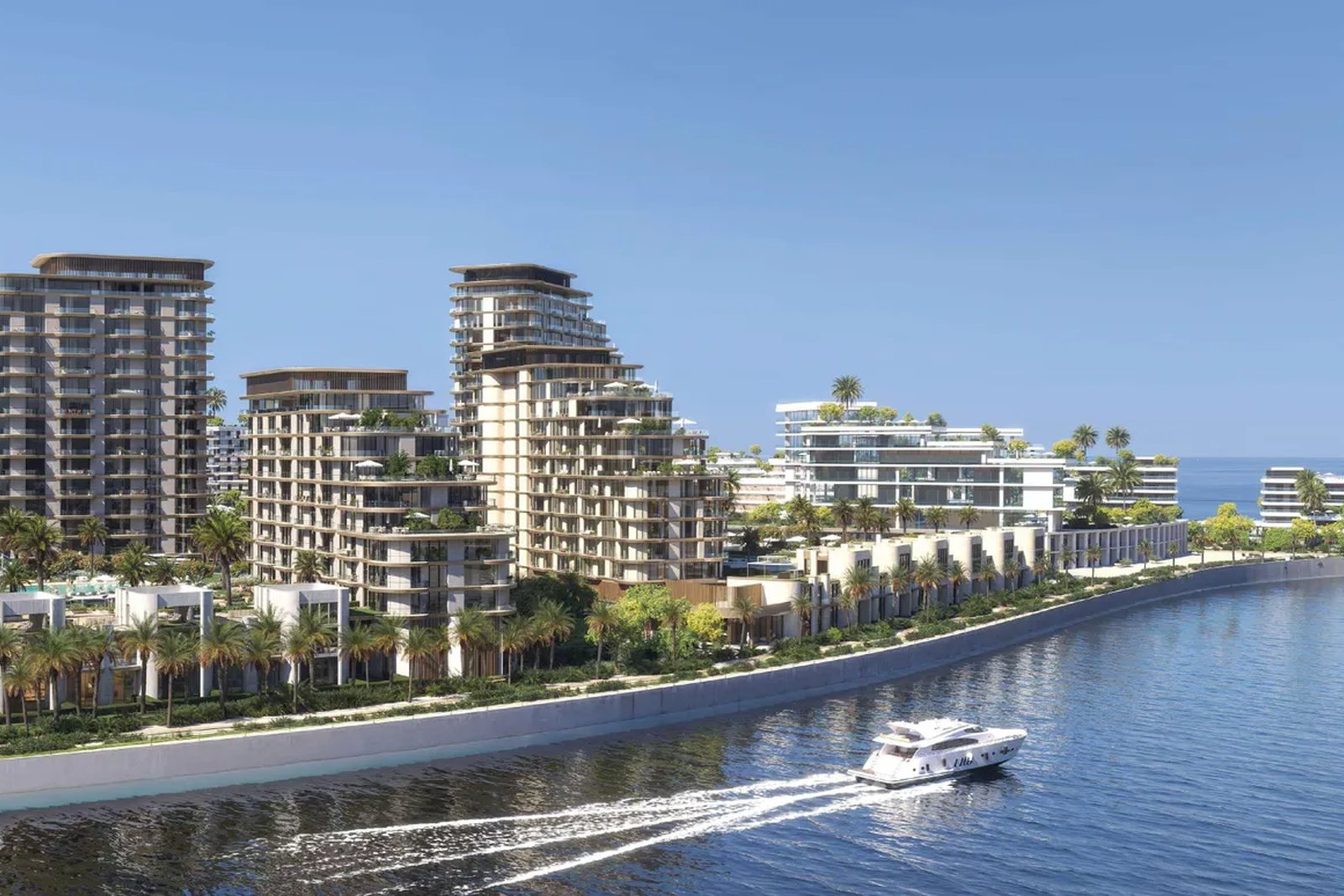 Mirasol 2